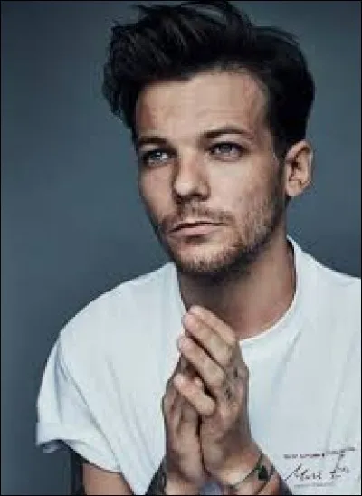 Dans une des &laquo; Video Diaries &raquo;, Louis d&eacute;clarait son amour pour les :