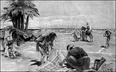 Précieux architecte d'Alexandre le grand, fondateur d'Alexandrie. Qui est-il ?