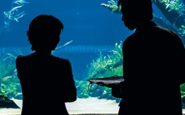 Quiz Aquariophilie