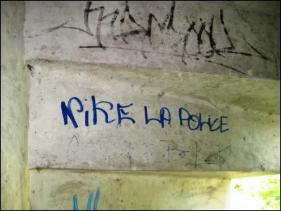 Donne une raison de ne pas aimer les policiers.