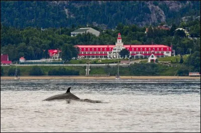Sur l'emplacement actuel de quelle ville qu&eacute;b&eacute;coise se situe le premier poste de traite des fourrures ?