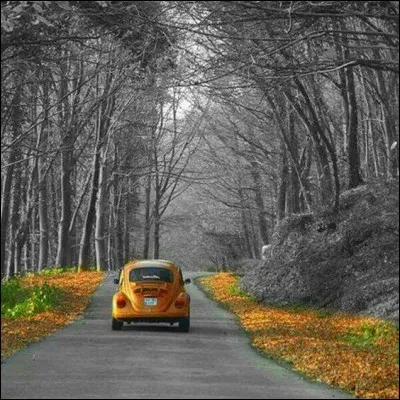 C'est mon jour de bonté ! Du nom de quel petit animal cette voiture mythique fut-elle baptisée ?