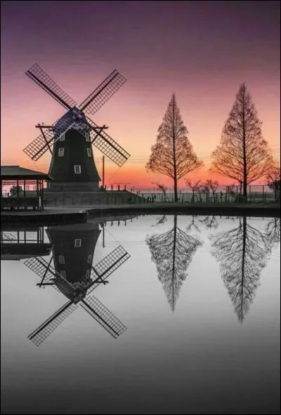 Les lettres de mon moulin de Daudet font référence au Moulin Saint-Pierre, situé à Fontvieille dans les Bouches du Rhône. Combien, d'années y a-t-il vécu ?