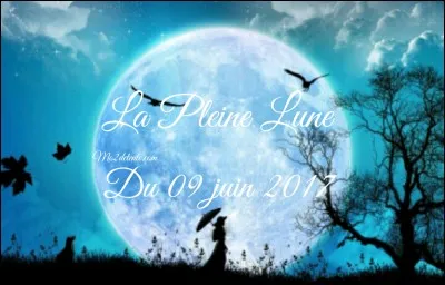 Où y a-t-il des fautes ?