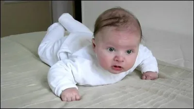 Quelles sont les deux bonnes réponses ?