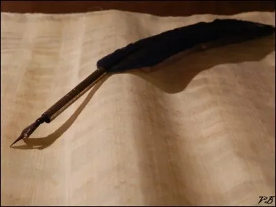 Ton professeur annonce un contrôle surprise sur quelque chose que tu n'as pas compris. Comment réagis-tu ?