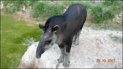 Surpris, interloqué, statufié !