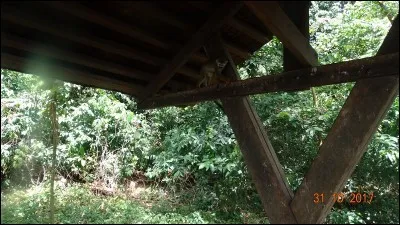 Sa farine est idéale pour les crêpes !