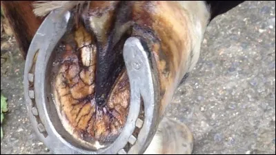 Comment curer les pieds ?