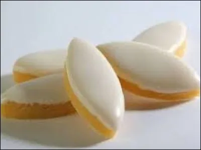 Dans quelle région trouve-t-on le calisson ?