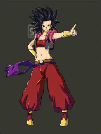 Comment s'appelle la fusion entre Kale et Caulifla ?
