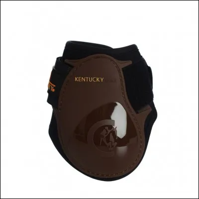 Comment cela s'appelle-t-il ?