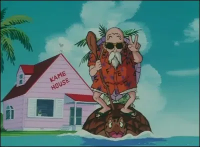 Que demande Kame Sennin quand il rencontre Bulma ?