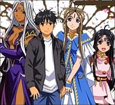 Quel est le titre de cet anime ?