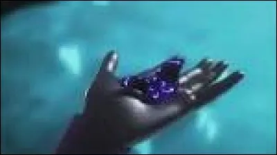 Jusqu'à maintenant, quel personnage de cette série n'a pas été akumatisé? (saison 1 et début de saison 2)