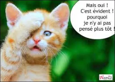 Cochez la phrase allant le mieux à celle-ci -> "C'est évident ! "