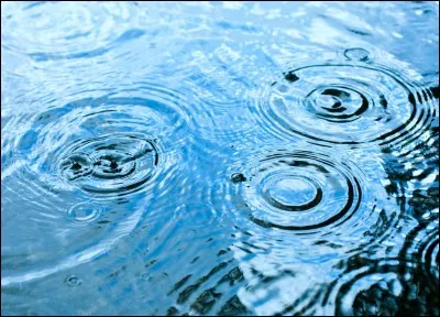 Il y a de l'eau dans le :