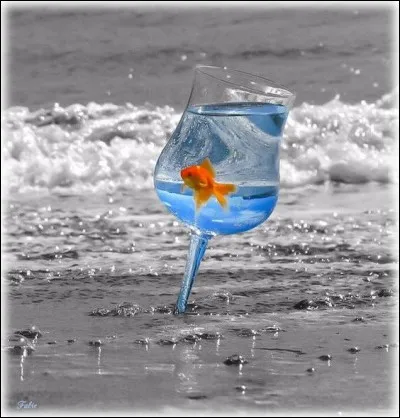 Qu'est-ce que l'eau plate ?