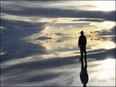 Homme libre, toujours tu chériras la mer !
La mer est ton miroir ; tu contemples ton âme...