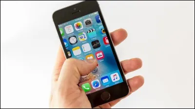 Ton activité favorite correspond à :