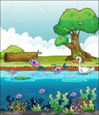 Vous n'aimez pas mes quiz, mais ce matin il n'y a rien d'autre à se mettre sous la dent, vous allez donc le jouer. Comme quoi....