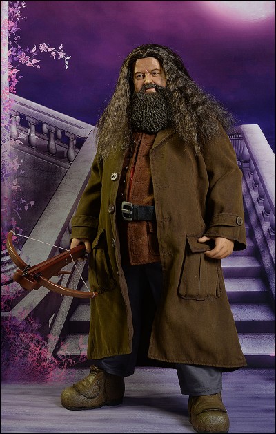 Quel jour Hagrid vient-il chercher Harry ?