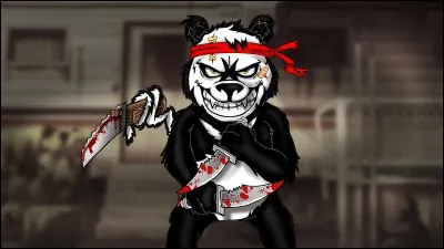 De quel pays est originaire Aidenshow ?