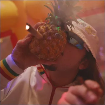 Qui chante " Fume à Fond " ?