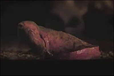 Quelle est la nourriture préférée de Dart ?