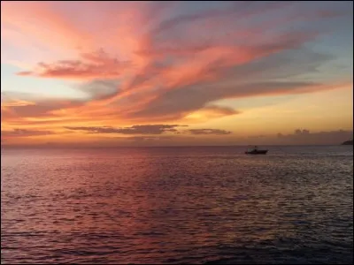 Quel chanteur s'en ira ''dès que le vent soufflera'' ?