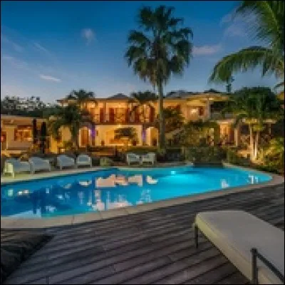 Quel animal marin le jeune Jesse rencontre-t-il dans le film ''Sauvez Willy'' ?