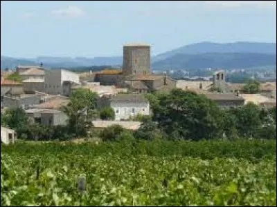 Pour finir, nous prenons la direction de l'Occitanie et de Ventenac-Cabardès. Commune de l'aire urbaine de Carcassonne, elle se situe dans le département ...
