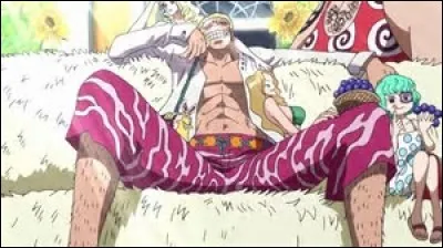 Qui est le 3e frère de Luffy, qui réapparaît lors de l'arc de Dressrosa ?