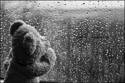 Qui a écrit "Il pleut bergère..." ?