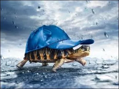 Avec cet instrument, on mesure les hauteurs de pluie. Trouvez son nom !