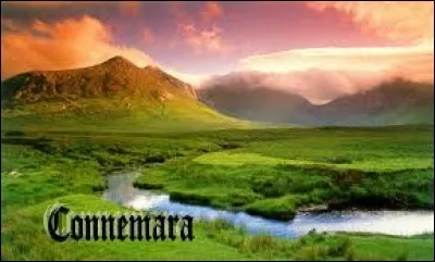 Qui a chanté "Les Lacs du Connemara" ?