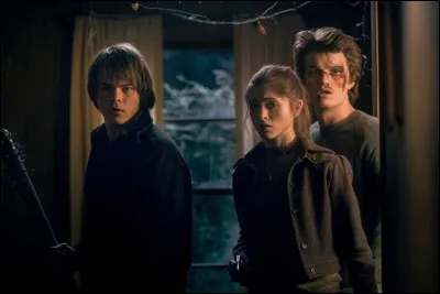 Quelle couleur de cheveux aimerais-tu avoir ?