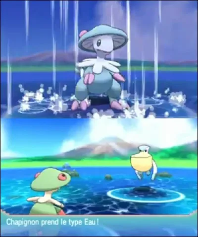 Que fait cette attaque ?