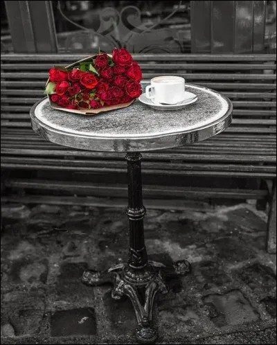 Qui chantait "On aurait pu se dire ça ailleurs qu'au café d'en-bas" dans sa chanson "J'te l'dis quand même" ?