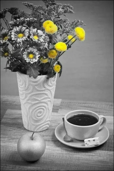 Laquelle de ces propositions n'est pas une marque de café ?