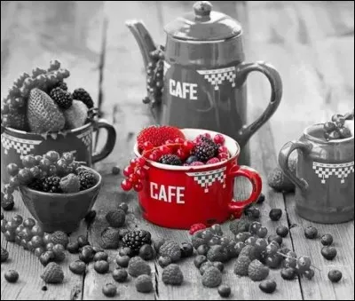 Comment s'appelle le fruit du caféier ?