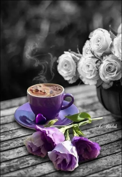 Dans la série "Caméra café", qui interprétait le rôle d'Hervé Dumont ?