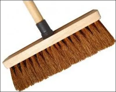 Quel est le terme technique de ce balai ?