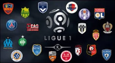 Quel est le joueur qui a marqué le plus de buts en Ligue 1 ?