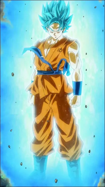 Quel est le nom complet du SSJ Blue ?