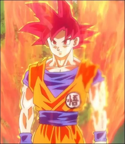 Goku est-il capable de se transformer en SSJ God seul ?