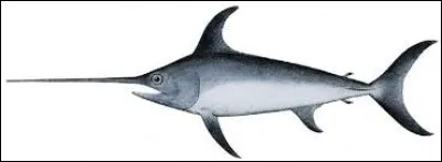 Quel est l'autre nom de l'espadon ?