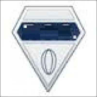 Ce logo correspond au club de :