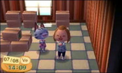 Avec quelle autre habitante est-elle beaucoup représentée sur les fanarts, et sur Internet en général ?