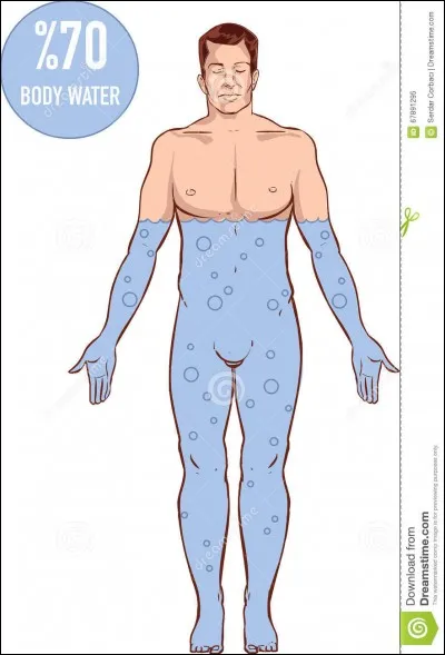 De combien de litres d'eau un adulte a-t-il besoin par jour ?